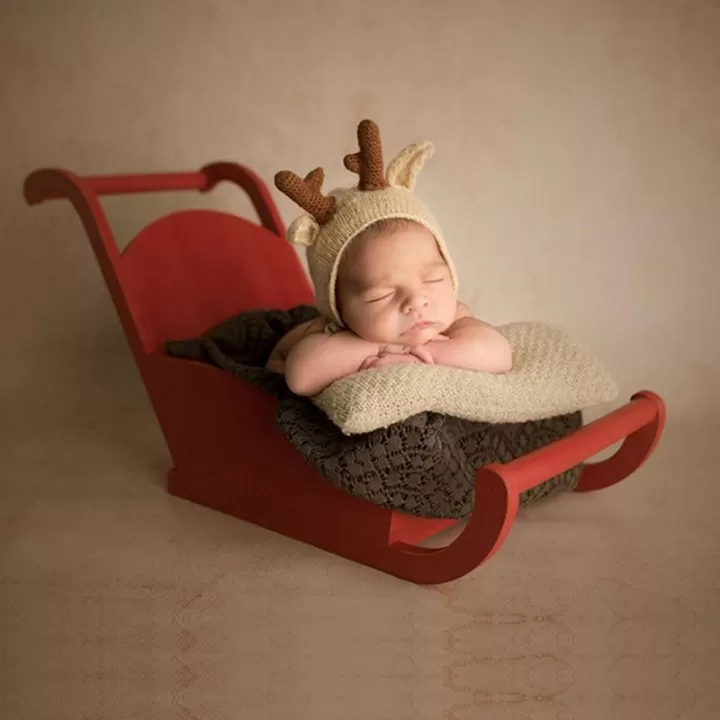 زحليقة ثلجية لتصوير مواليد