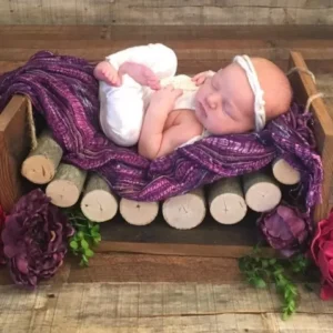 سرير تصوير مواليد من اغصان الشجر الطبيعي